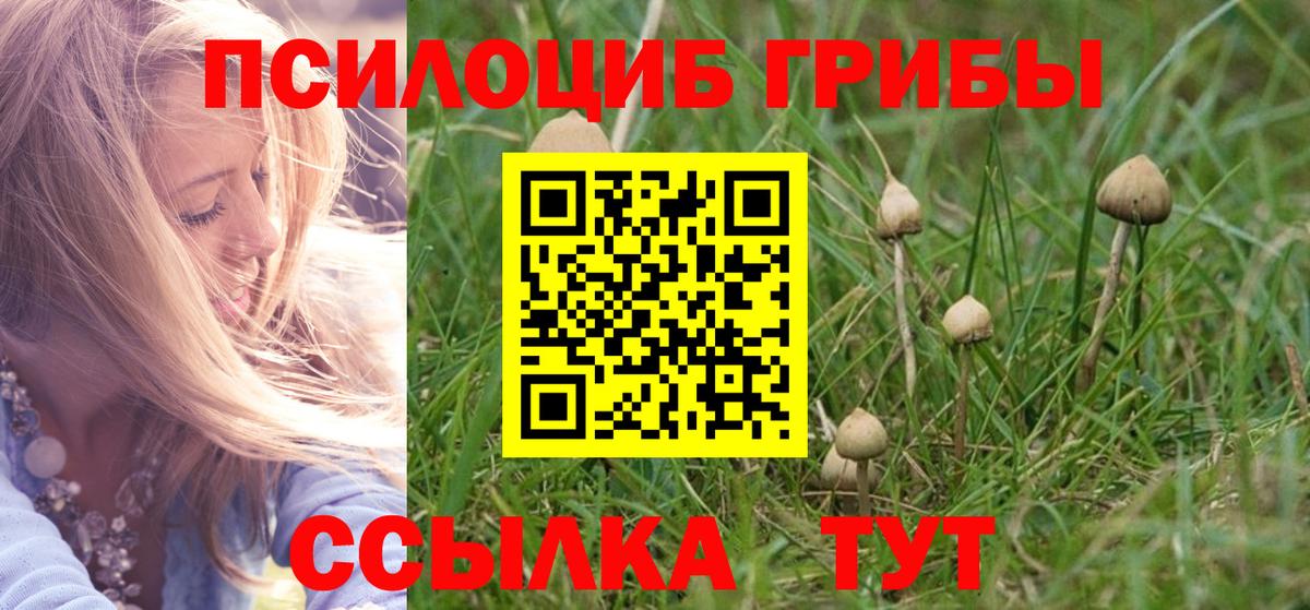 Псилоцибиновые грибы MAGIC MUSHROOMS  Галлюциногенные грибы GOLDEN TEACHER  Вход с VPN  Дагестанские Огни 